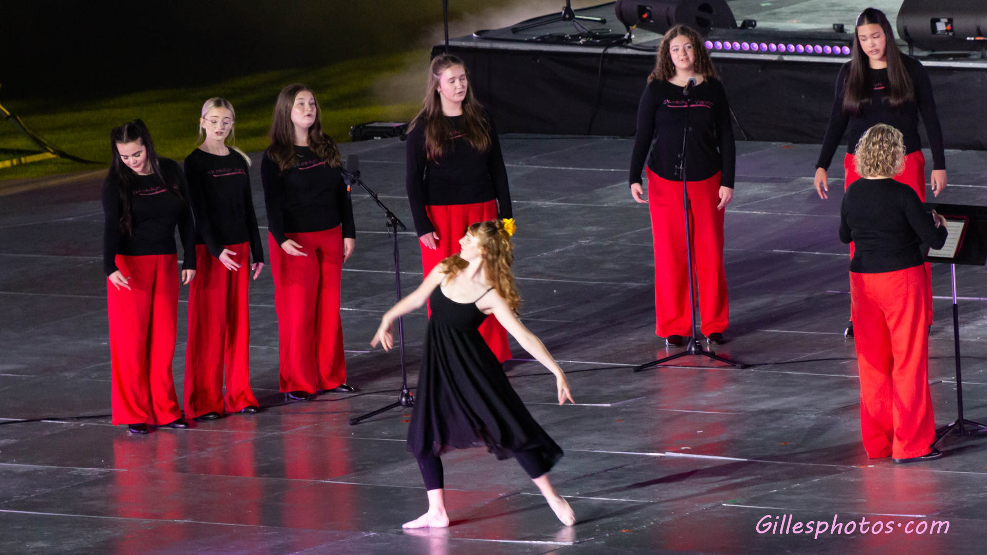 Festival Interceltique de LORIENT